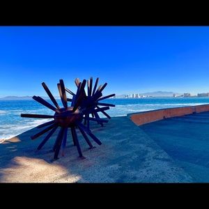 Meet your Posher, Paul